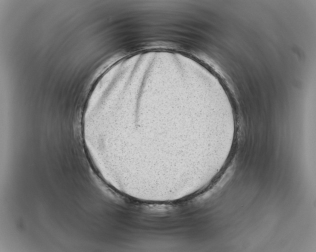 X0000112791137200910021054