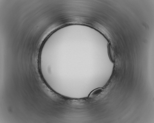 X0000112791138200910021054