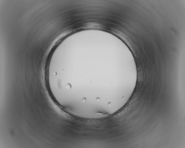 X0000112791139200910021054