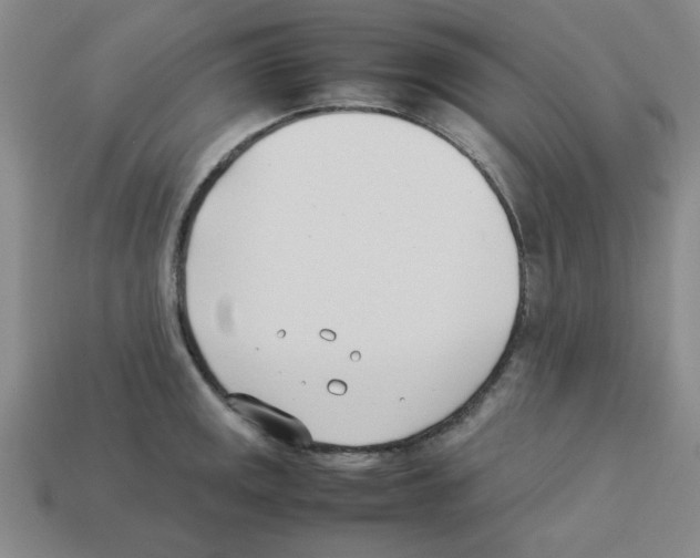 X0000112791141200910021054