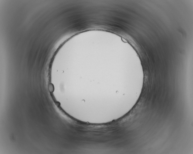 X0000112791143200910021054