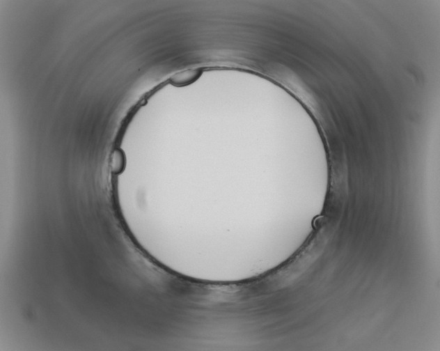 X0000112791144200910021054