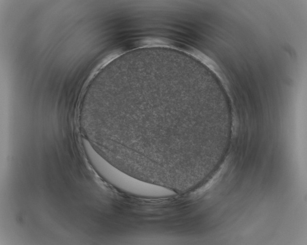 X0000112791145200910021054