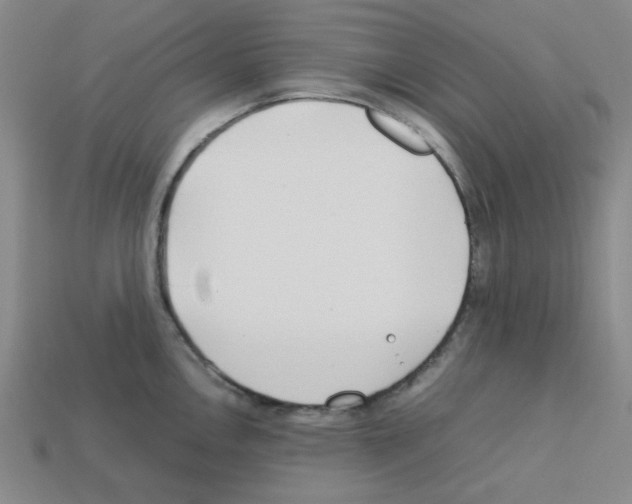 X0000112791146200910021054