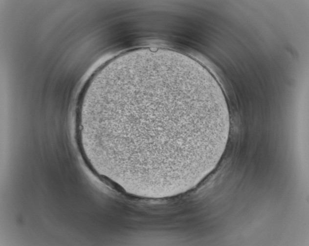 X0000112791147200910021054