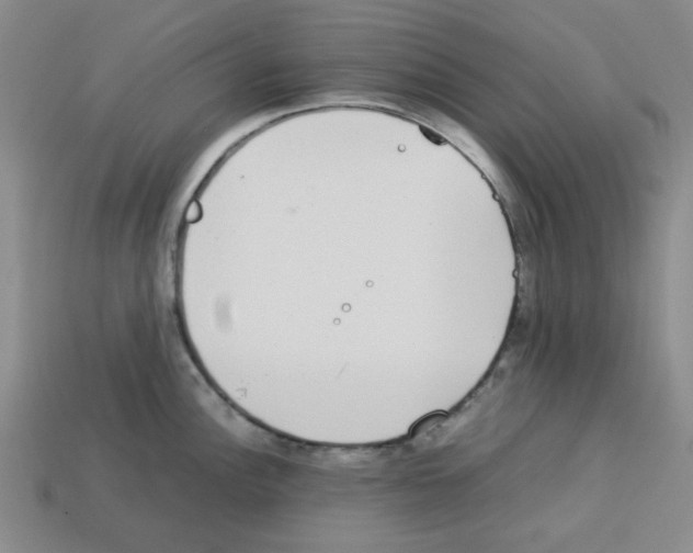 X0000112791148200910021054