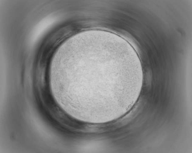 X0000112791150200910021054