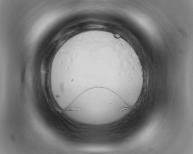 X0000112791151200910021054