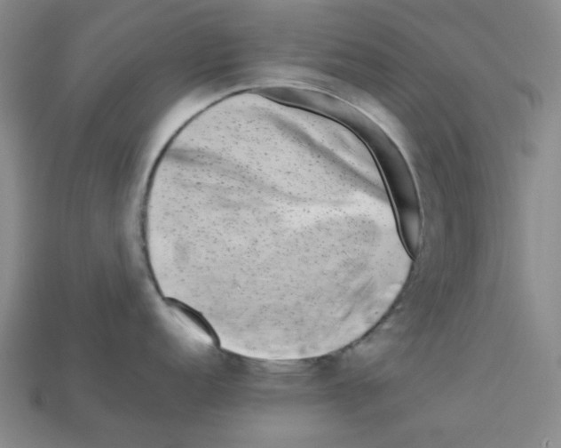 X0000112791152200910021054