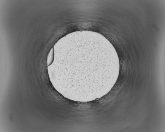 X0000112791153200910021053