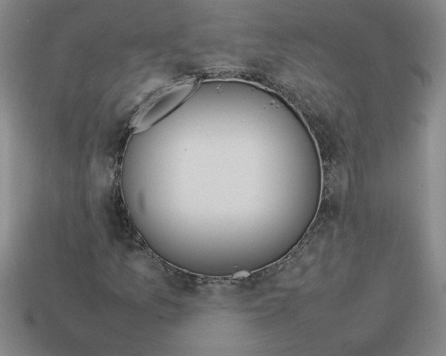 X0000112791157200910021053