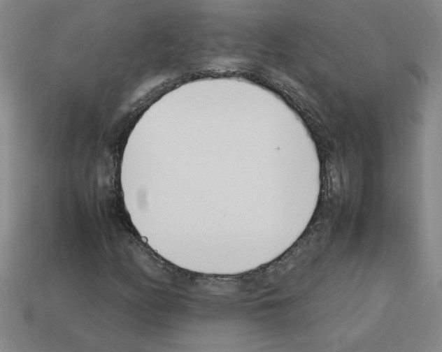 X0000112791158200910021053