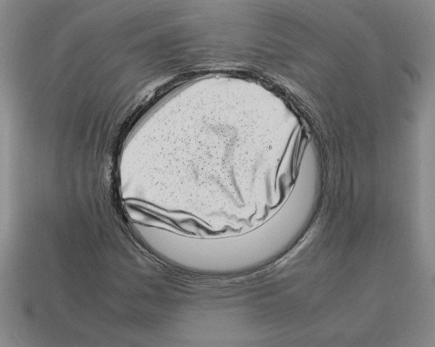 X0000112791161200910021053