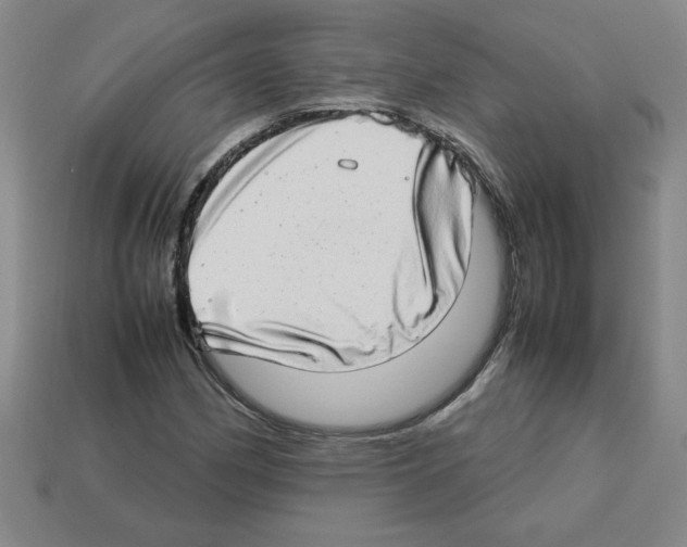 X0000112791162200910021053