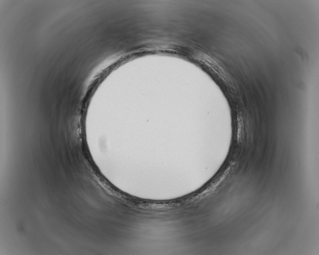 X0000112791164200910021053