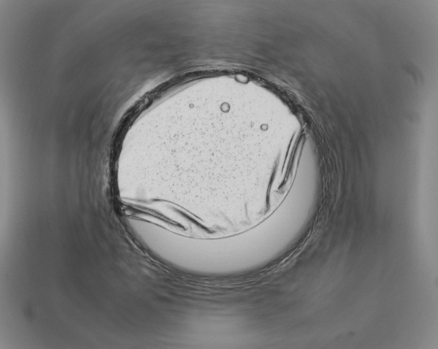 X0000112791165200910021053