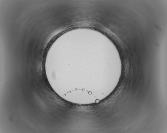 X0000112791166200910021053