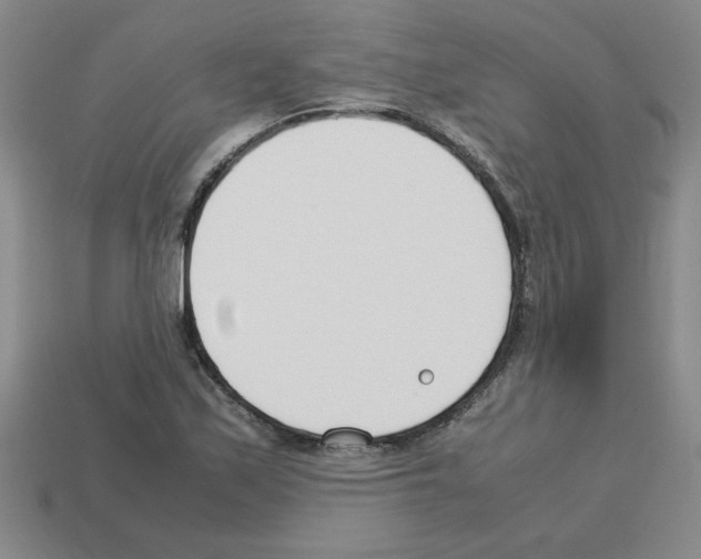 X0000112791171200910021053