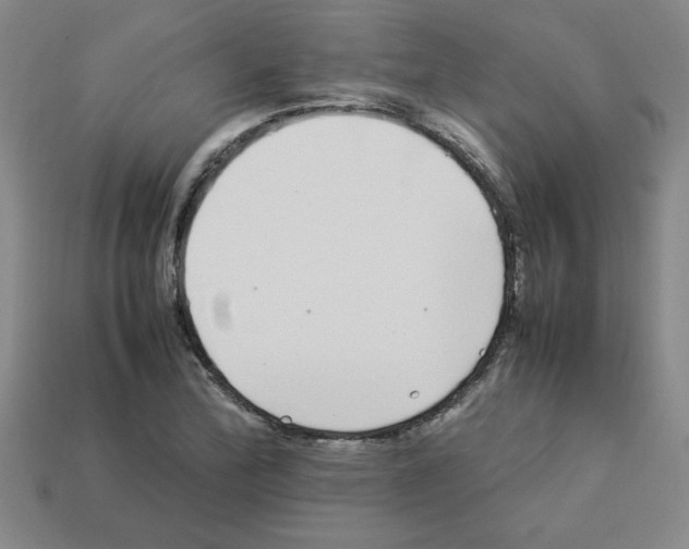 X0000112791172200910021053