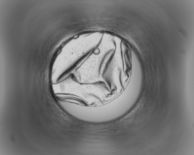 X0000112791173200910021053