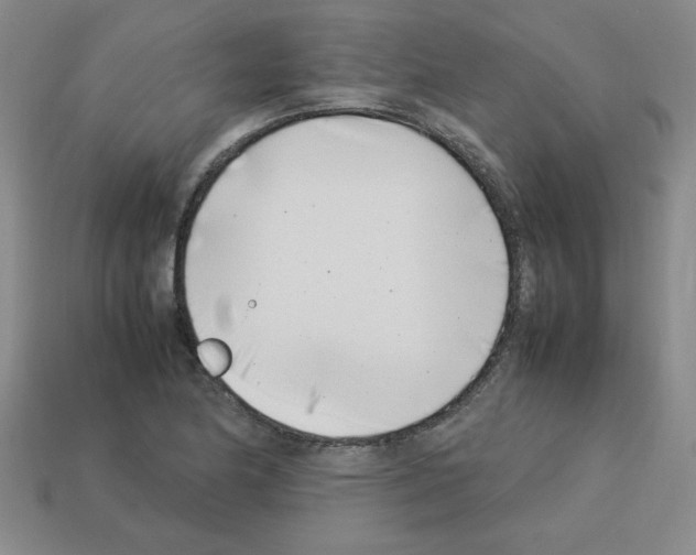 X0000112791174200910021053