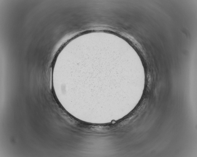 X0000112791175200910021053