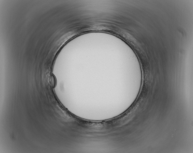 X0000112791177200910021053