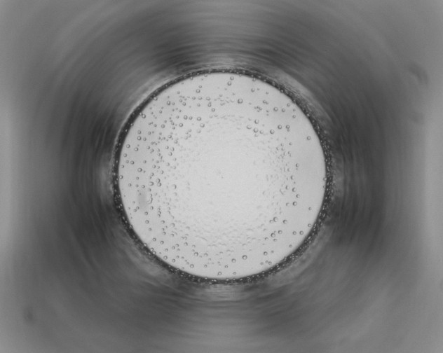 X0000112791178200910021053