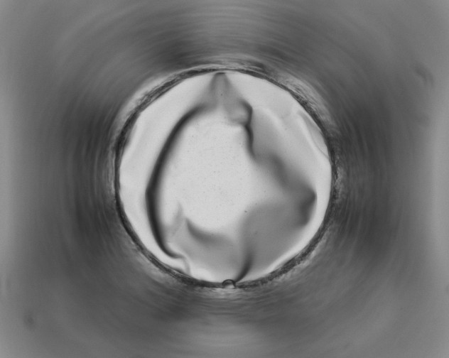 X0000112791180200910021053