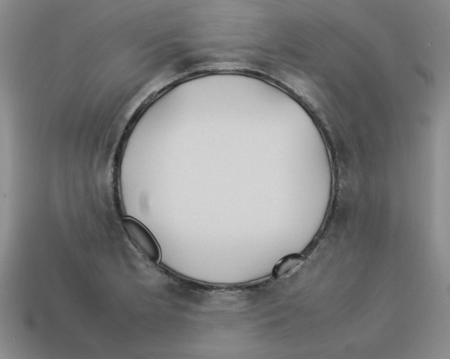 X0000112791181200910021053