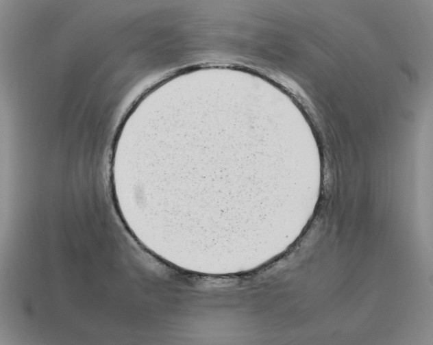 X0000112791183200910021053