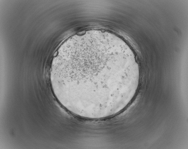 X0000112791185200910021053