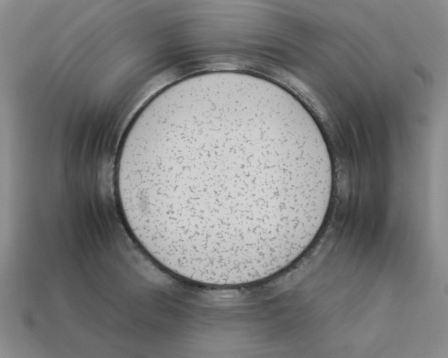 X0000112791186200910021053