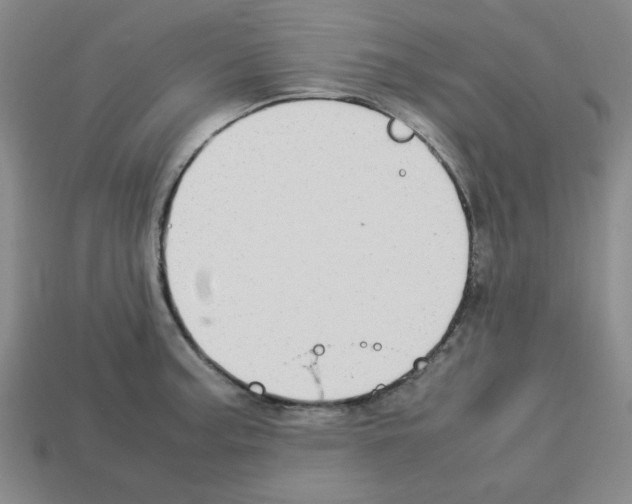 X0000112791187200910021053