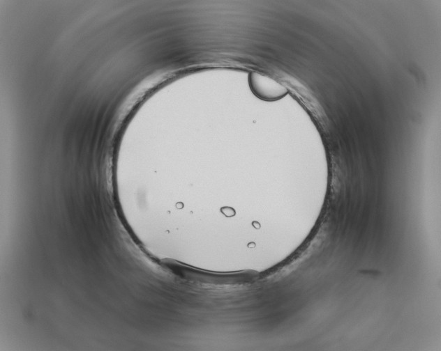 X0000112791188200910021053