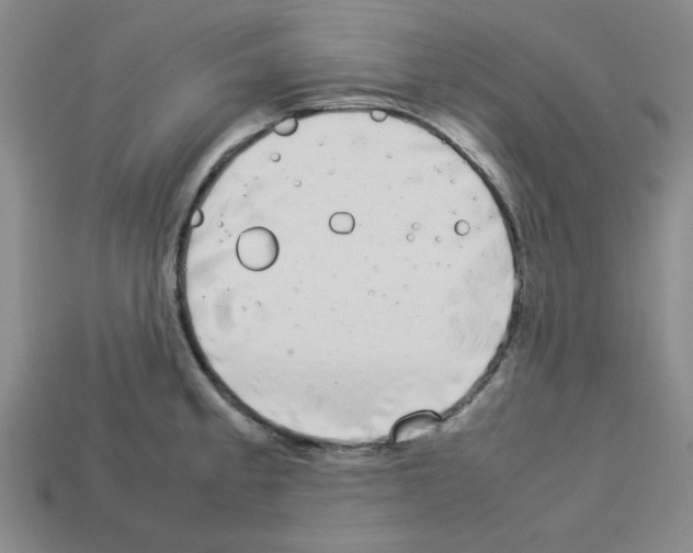 X0000112791189200910021053