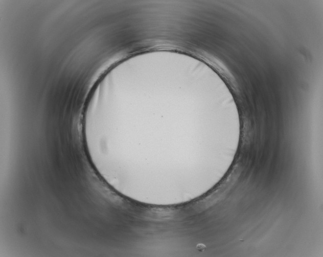 X0000112791190200910021053