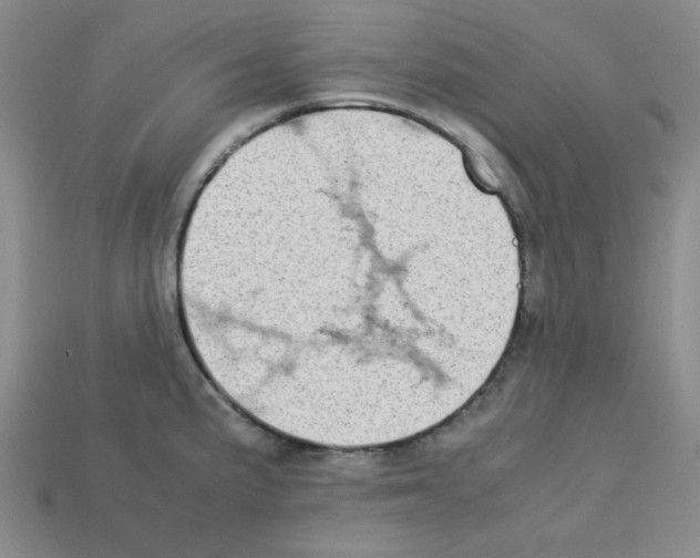 X0000112791191200910021053