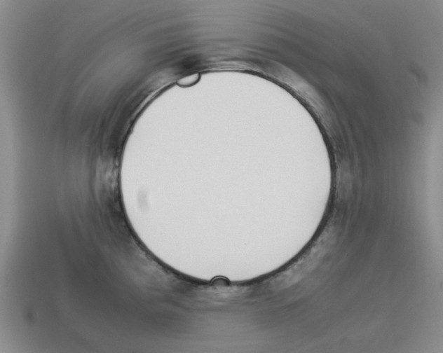 X0000112791193200910021053