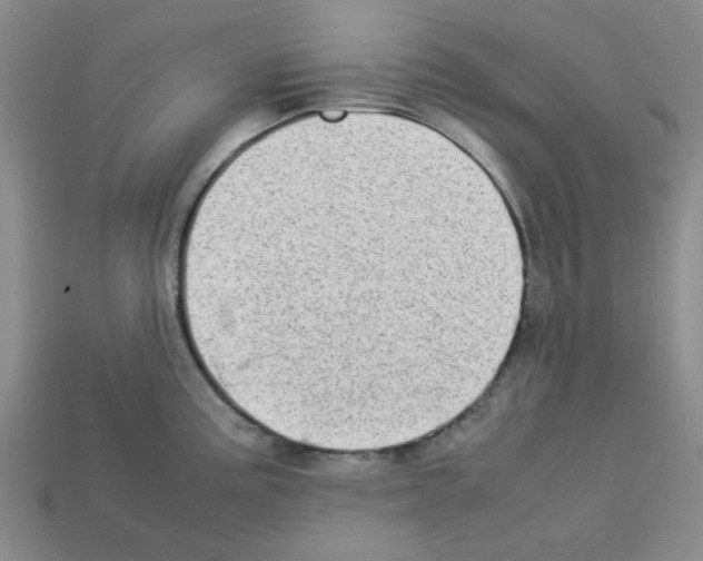 X0000112791195200910021053