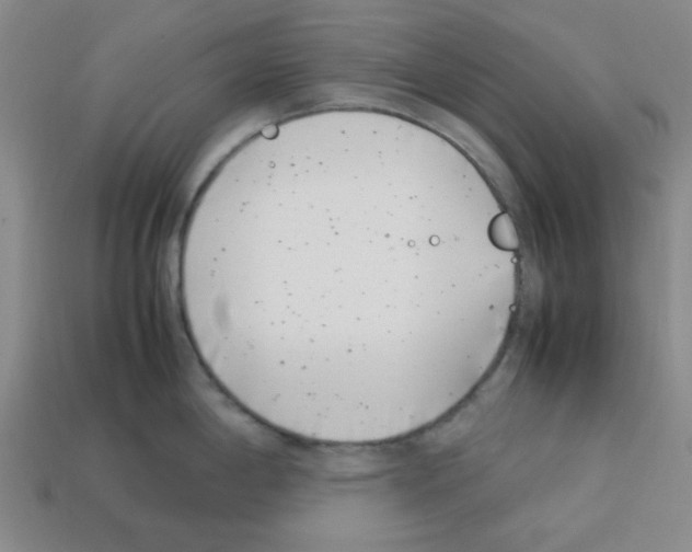 X0000112791198200910021053