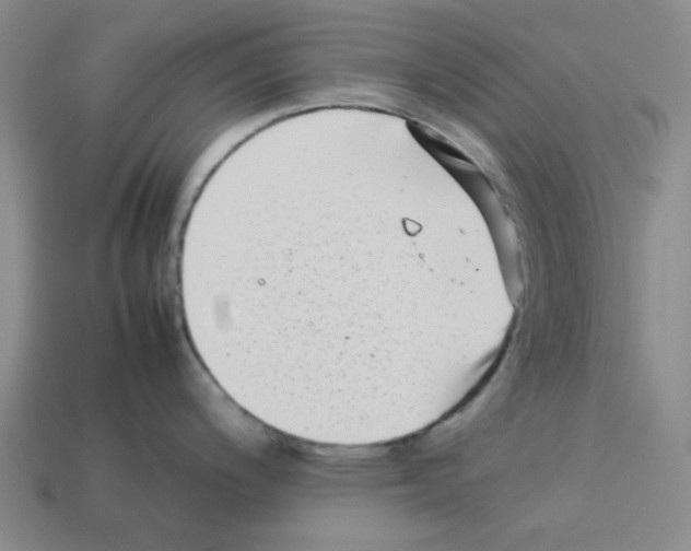 X0000112791200200910021053