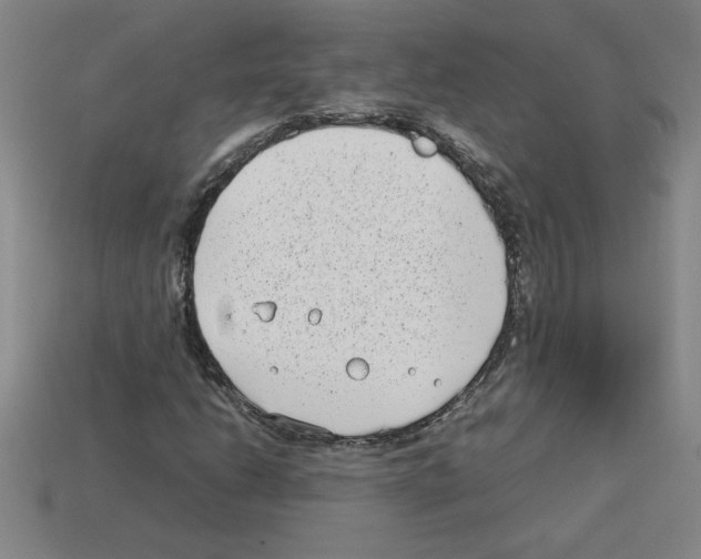 X0000112791206200910021052