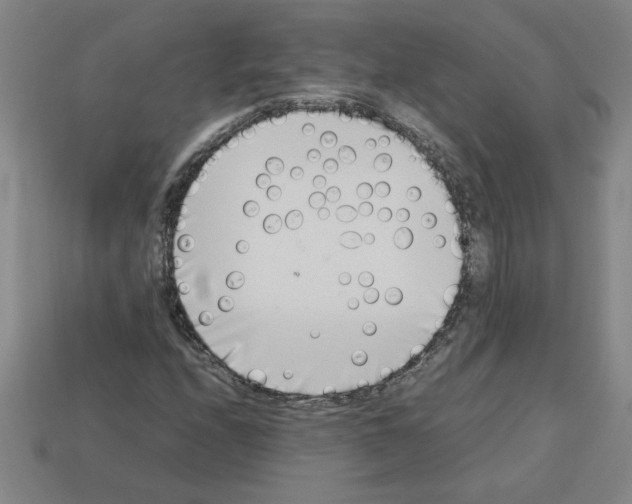 X0000112791208200910021052