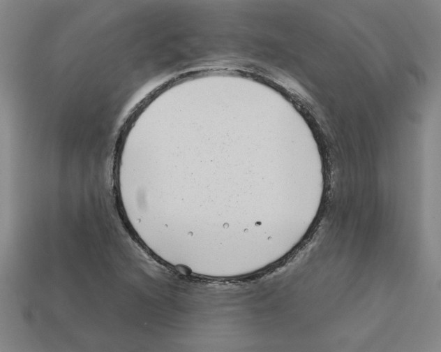 X0000112791216200910021052