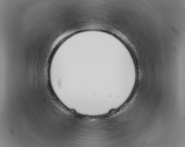 X0000112791222200910021052