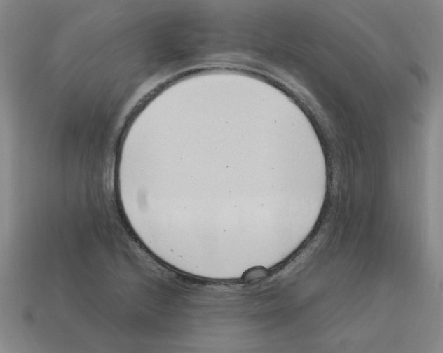 X0000112791224200910021052