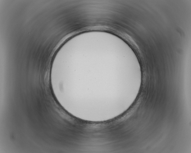 X0000112791228200910021052