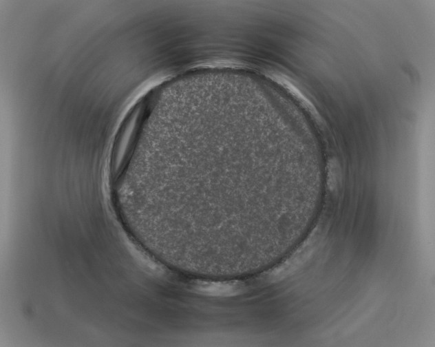 X0000112791229200910021052