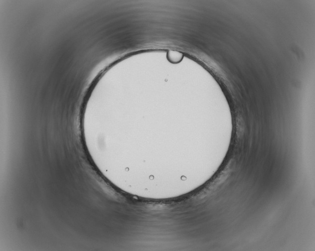 X0000112791230200910021052